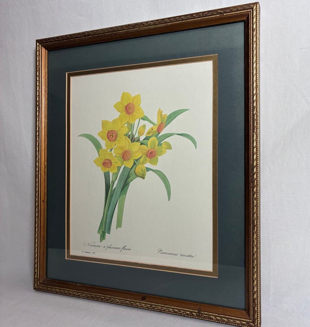 Pierre Joseph Redoute Botanical Print Framed Cottagecore Vintage Farmhouse Decor